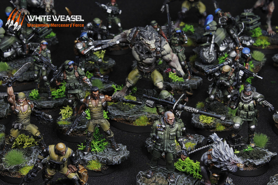 Astra Militarum – The Imperial Guard - White Weasel Studio